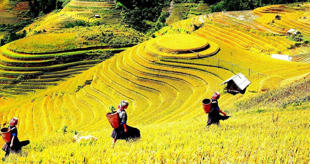 Hanoi Merci Hotel ภายนอก รูปภาพ